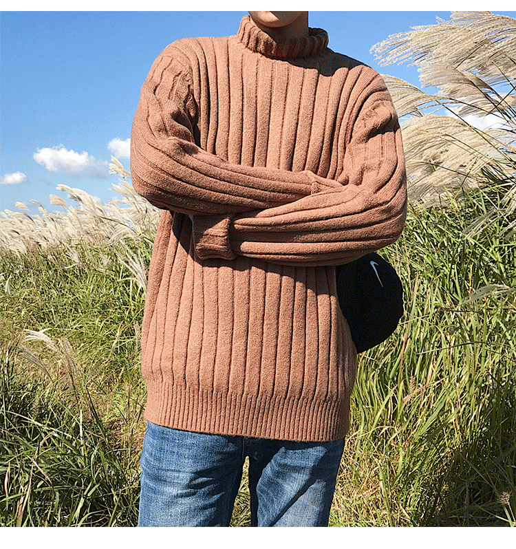 冬季长袖毛衣男士宽松套头新款毛衣青年韩版针织衫休闲男