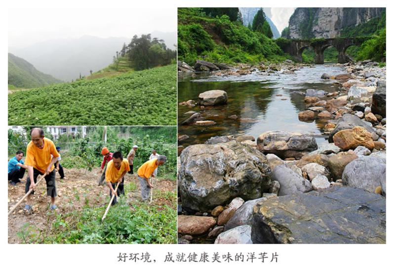 【建始馆】湖北恩施建始 干土豆片 枯洋芋片儿 100g