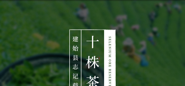 【建始馆】马坡十株2018新茶毛峰100g袋装