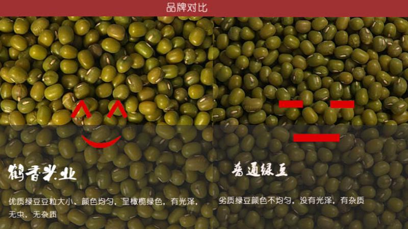 【白城馆】鹤香米业农家自种新笨绿豆解暑非转机因有机绿豆600g真空装