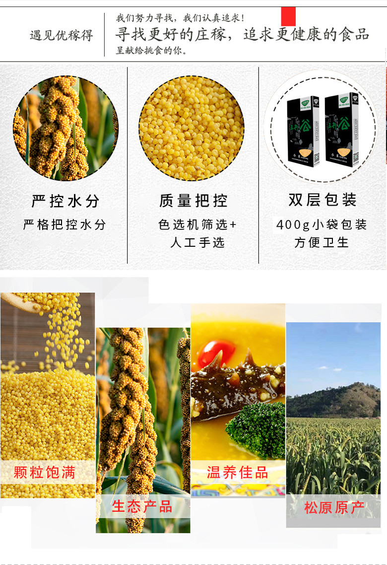 小米 400g 优稼得黄小米 五谷杂粮 粗粮