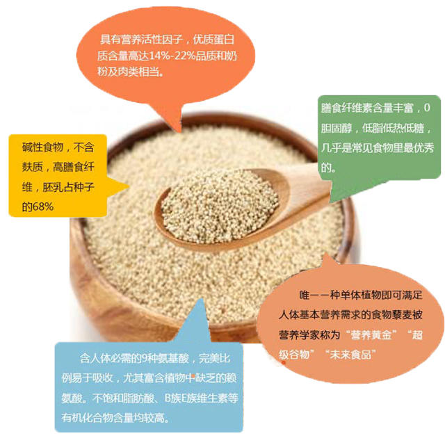 西藏特产  高原蓝藜麦  一斤装