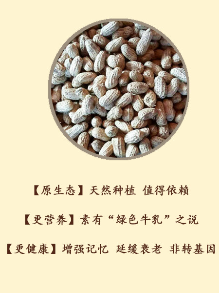 西藏特产 林芝察隅下察隅红皮生花生 500g