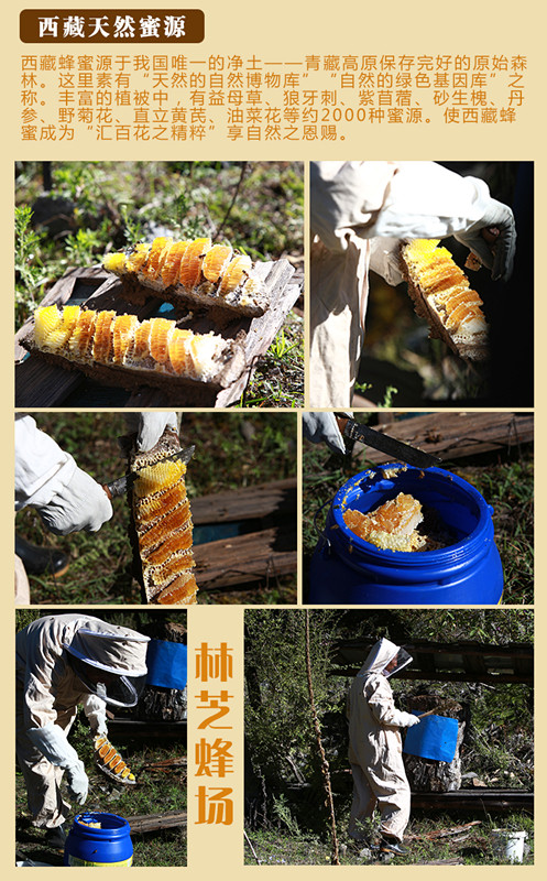 西藏特产 五彩珠峰 西藏蜂蜜 原生态百花蜜零添加无污染