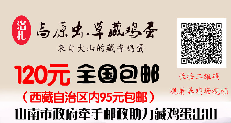 西藏特产  山南洛扎虫●草藏鸡蛋 30枚装