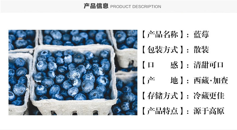 西藏加查新鲜蓝莓 雪域珍品 精制一斤装 区外包邮