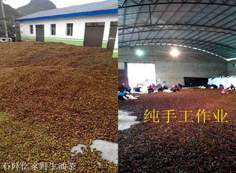 贵州农特产品  石阡仡家茶油 天然野生 纯正食用茶油 2000ml*两瓶装（4斤/每瓶）