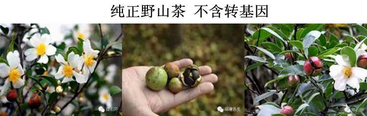 贵州农特产品 石阡仡家茶油  天然野生物理初榨茶油食用油1000ml*两瓶装（2斤/每瓶）