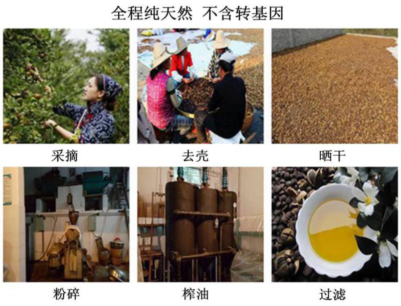贵州农特产品  石阡仡家茶油 天然野生 纯正食用茶油 250ml*两瓶装(半斤/每瓶）
