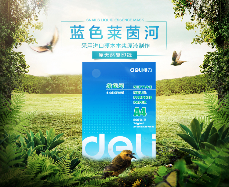 得力/deli 7402/7400A4莱茵河打印/复印纸A4办公用纸木浆复印纸70g 500张