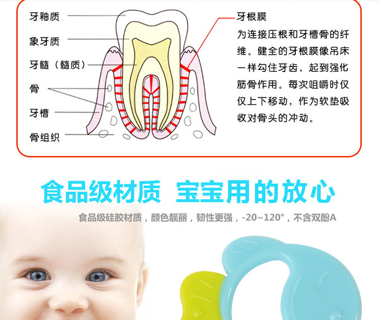 好孩子宝宝磨牙棒 宝宝双色牙胶婴儿无毒无味牙咬