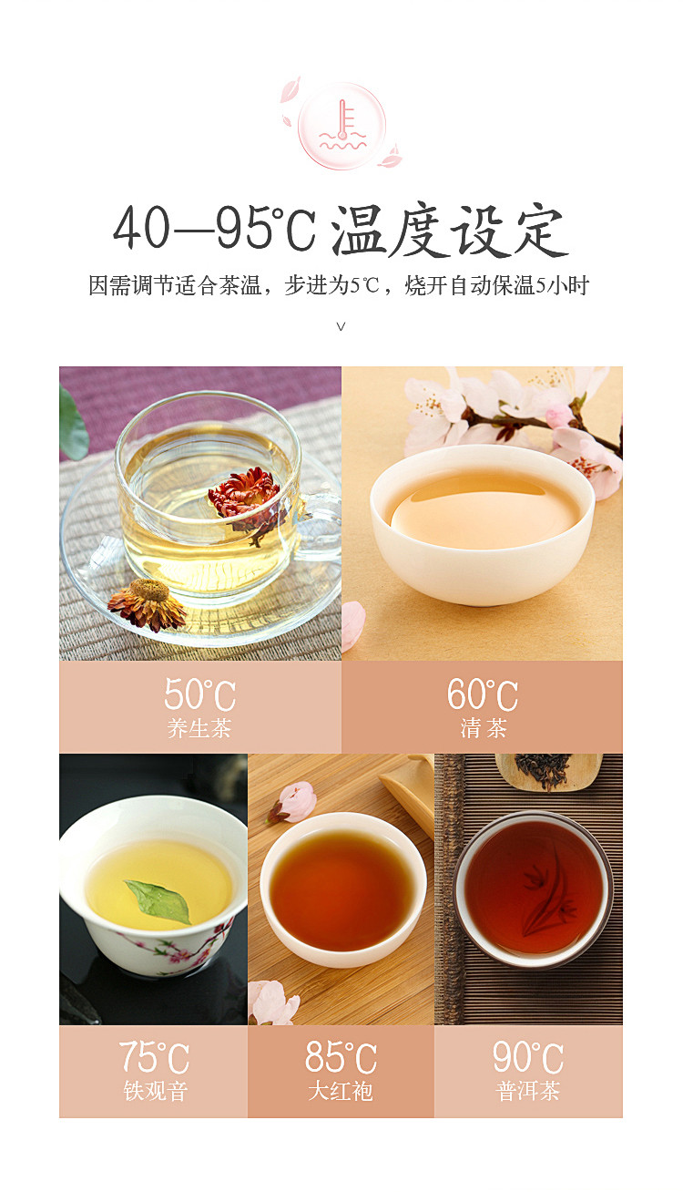 韩国现代（HYUNDAI）煮茶器煮茶壶蒸汽全自动黑茶蒸茶器泡茶花茶蒸茶养生壶QC-ZC1155