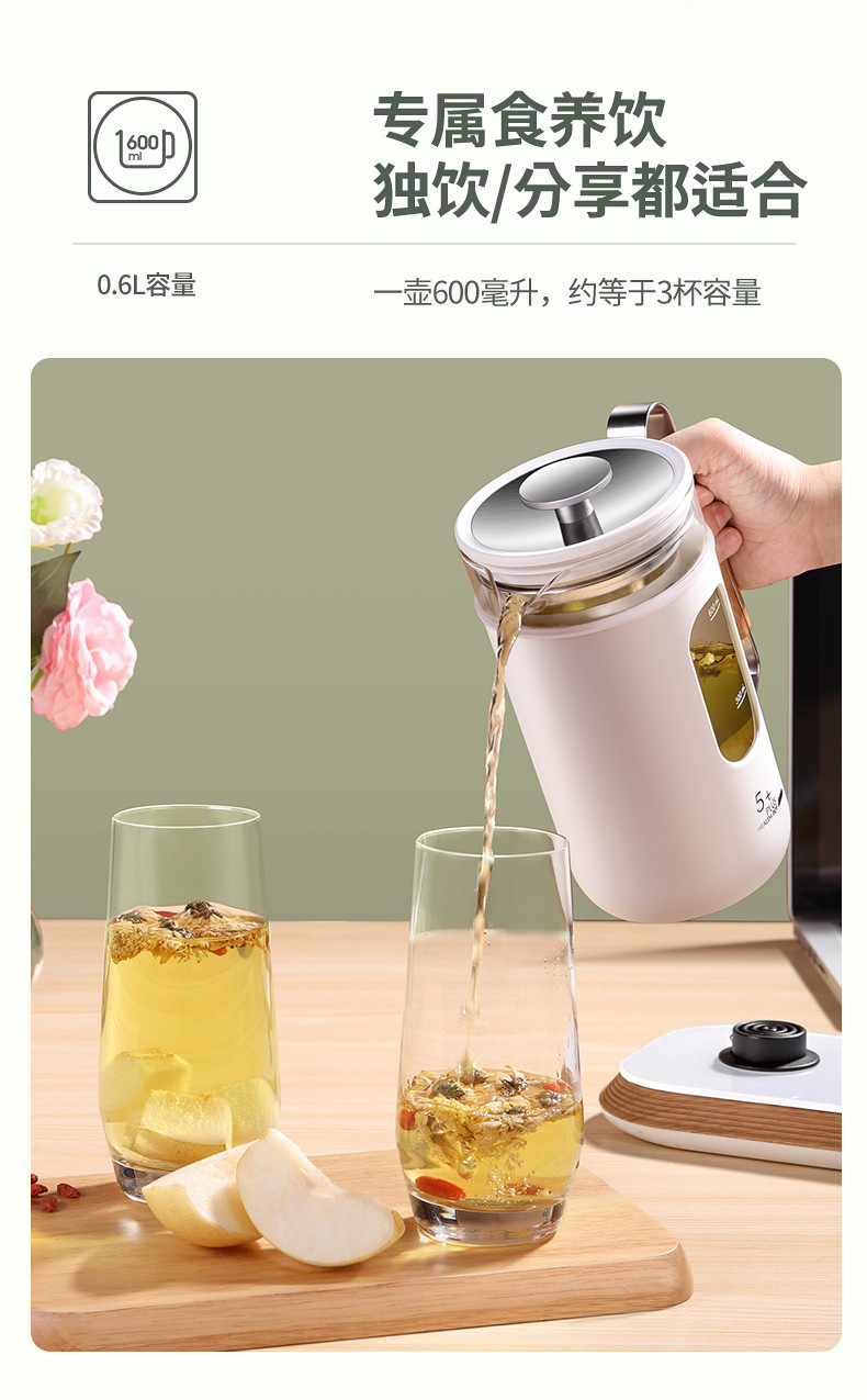 韩国现代（HYUNDAI）养生壶办公室家用0.6L迷你烧水壶养身茶壶花茶壶QC-YS0613