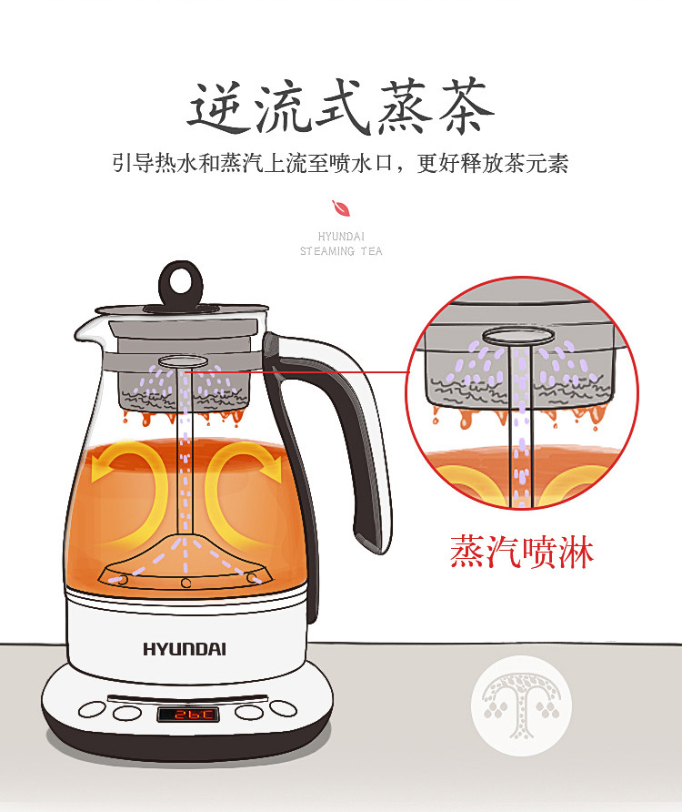 韩国现代（HYUNDAI）煮茶器煮茶壶蒸汽全自动黑茶蒸茶器泡茶花茶蒸茶养生壶QC-ZC1155