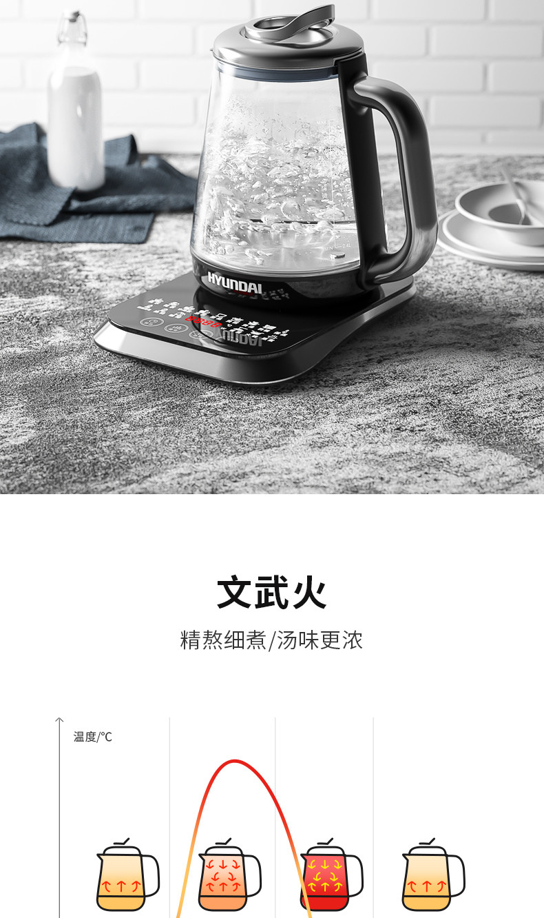 韩国现代（HYUNDAI）养生壶2L煮茶器电热水壶花茶壶黑茶QC-YS2020