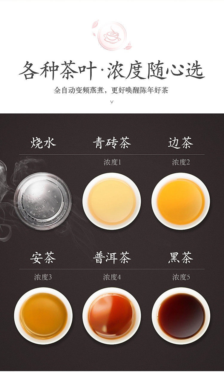 韩国现代（HYUNDAI）煮茶器煮茶壶蒸汽全自动黑茶蒸茶器泡茶花茶蒸茶养生壶QC-ZC1155