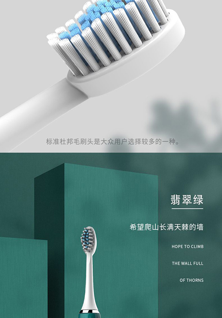 创造官（Creative Guan）电动牙刷洗漱家用软毛声波充电牙刷D1充电款共4刷头
