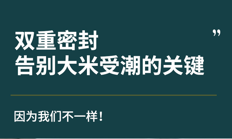 拜格(BAYCO)自动开盖米桶宝绿色10L装BX6326