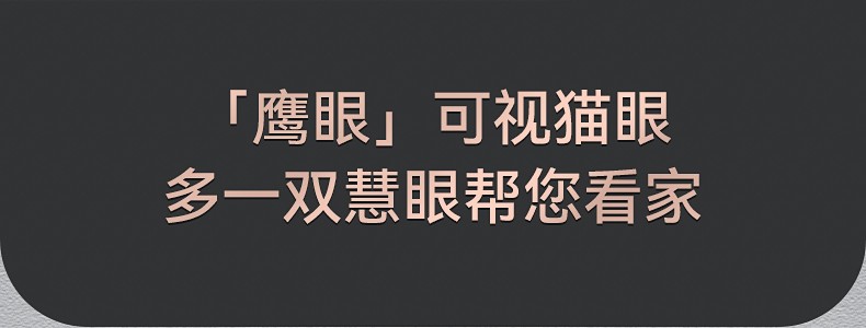 科学佳 全自动指纹锁密+刷卡云秘钥钥匙电子猫眼A8-E