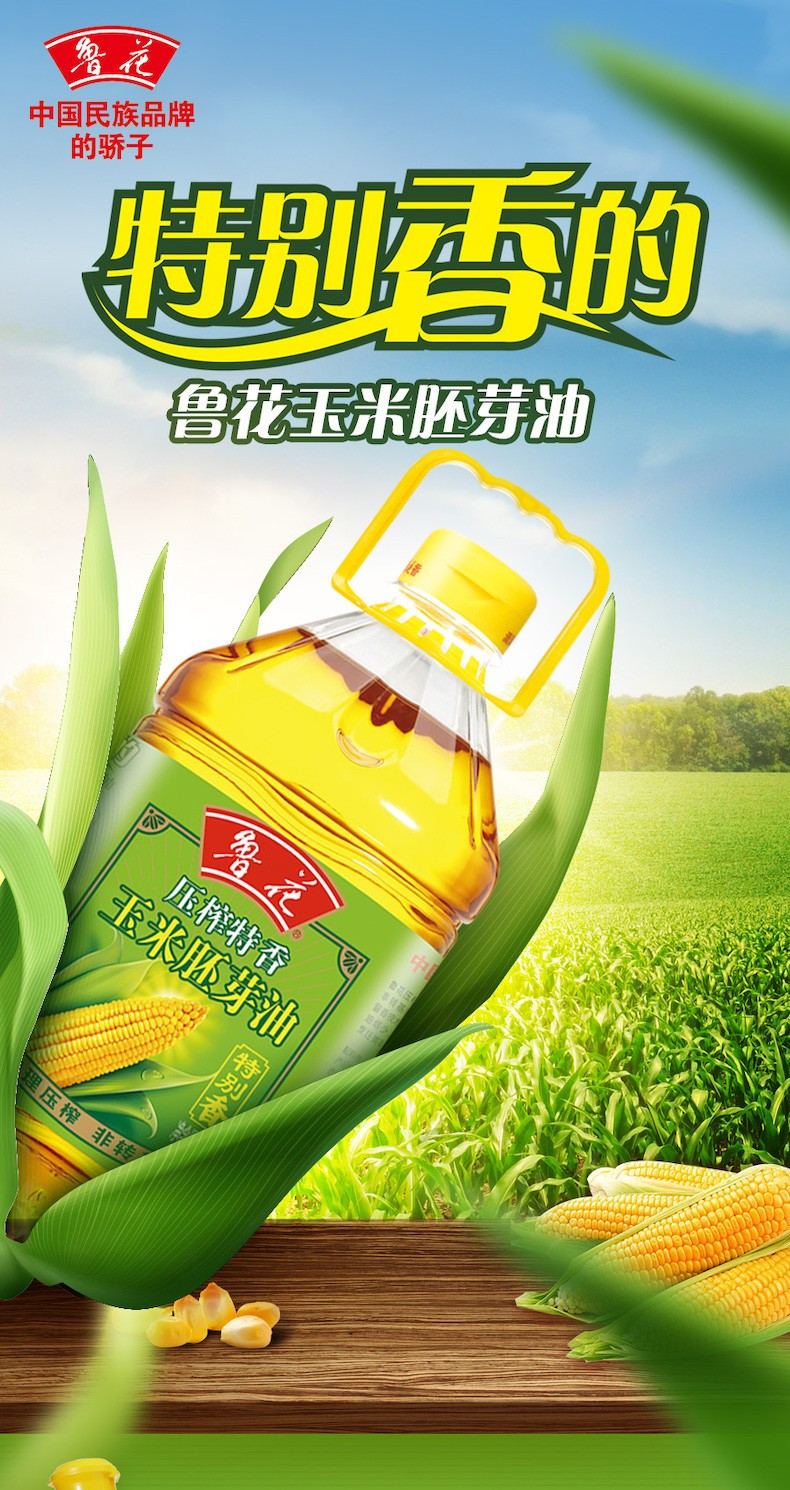 鲁花压榨特香玉米胚芽油1.6L 非转基因食用油