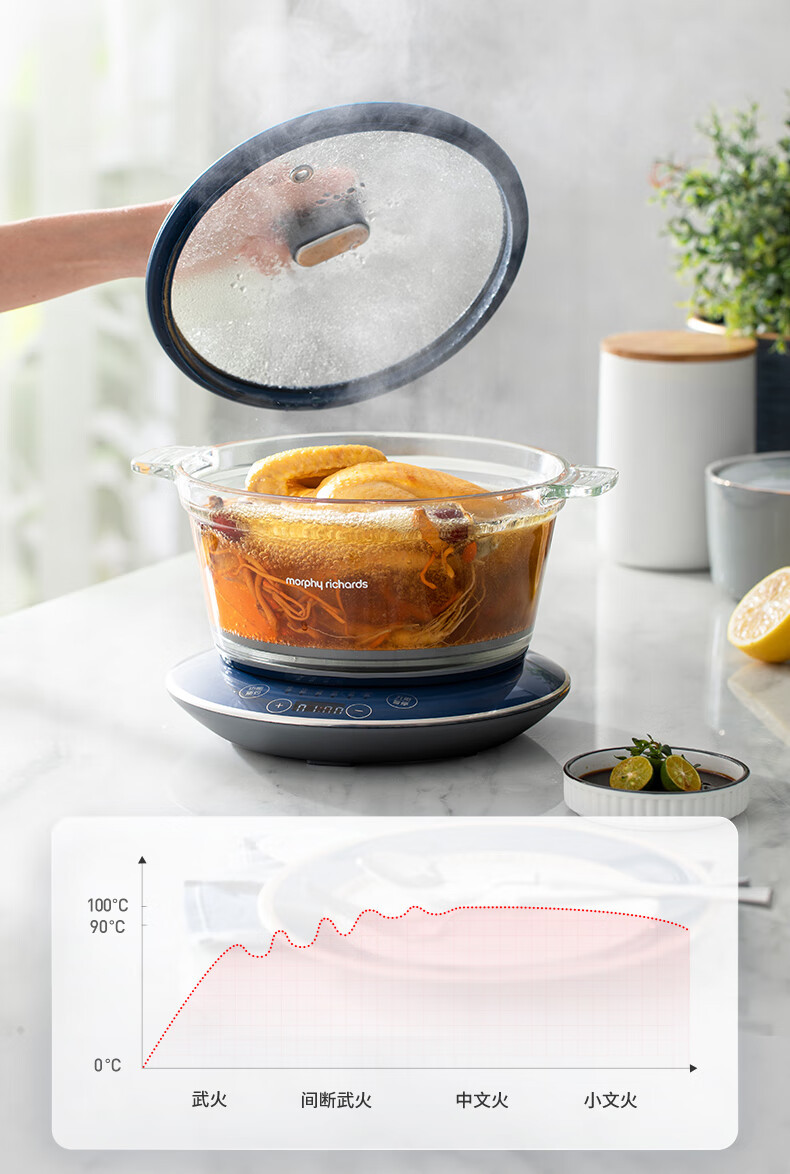摩飞多用途锅电炖锅养生锅电炖盅炖汤电煮锅煮粥锅可预约定时MR9081