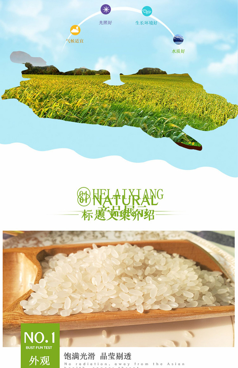 鹤来香 鱼台大米优质粳米软糯有嚼劲5kg/袋