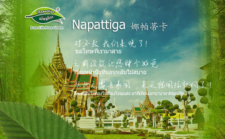 泰国进口Napattiga娜帕蒂卡防螨透气儿童卡通动物枕可折叠乳胶枕
