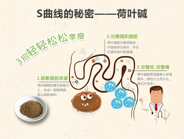 益植堂冬瓜荷叶茶 纯天然袋泡减大肚子茶 花草茶冬瓜茶富硒荷叶茶