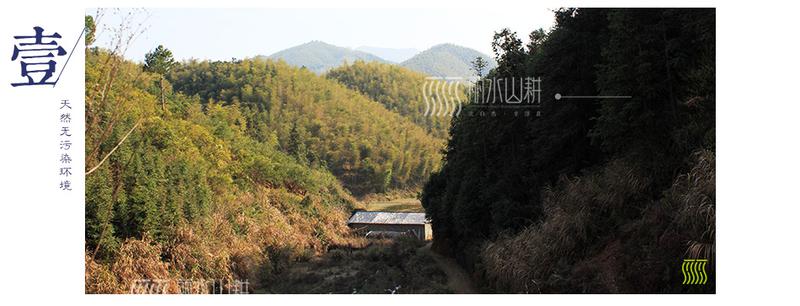 丽水 冷鲜鸡 深山鸡 草鸡 土鸡散养180天以上 专业冷鲜工艺 [农品]