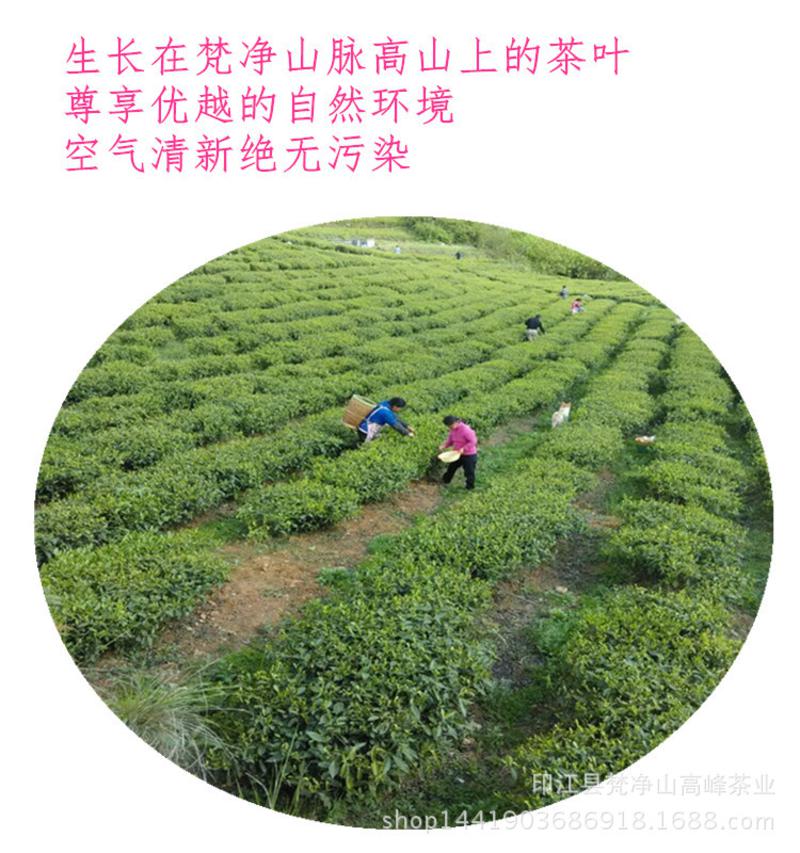 250克装梵净山毛峰茶