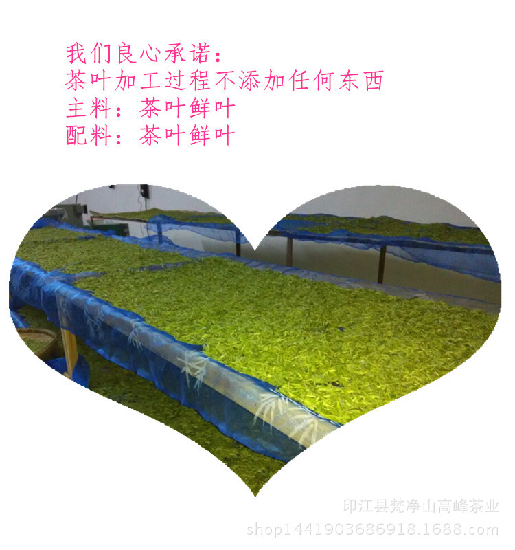 梵净山绿茶袋装50克/袋