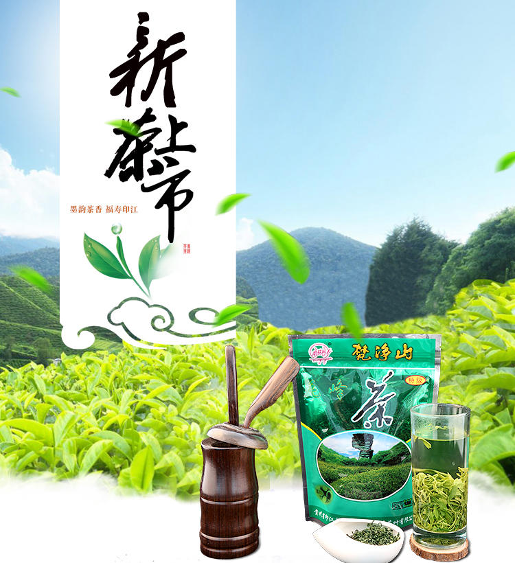 梵净山毛峰茶 高山云雾绿茶 春茶 日照充足 浓香耐泡型 125g包邮