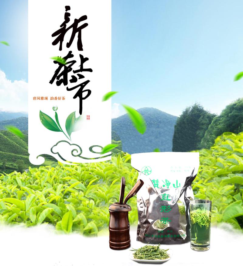 梵净山直形绿茶 梵净山2015新茶叶雨前春茶高山茶 250g