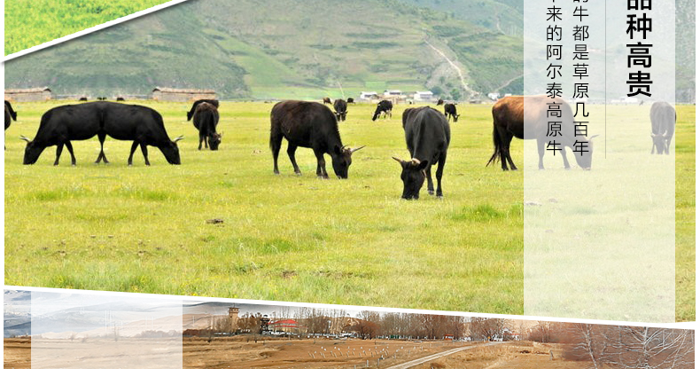 阿吾勒 农垦食品可溯源  新疆特产风干原味牛肉干 手撕牛肉干218g