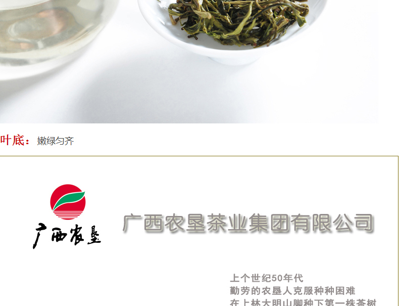 【中国农垦】大明山 广西农垦质量可溯源 特级绿茶白毫雪芽绿茶  明前春茶 150g/袋