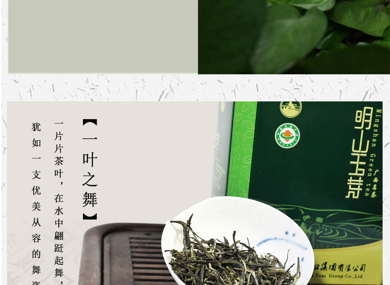 【限时特惠价】大明山绿茶 农垦茶叶  质量可溯源 明山玉芽春茶125g/罐