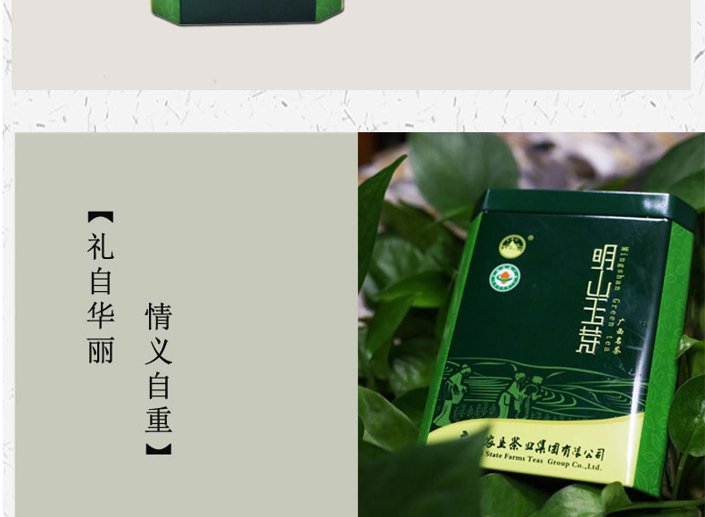 【限时特惠价】大明山绿茶 农垦茶叶  质量可溯源 明山玉芽春茶125g/罐