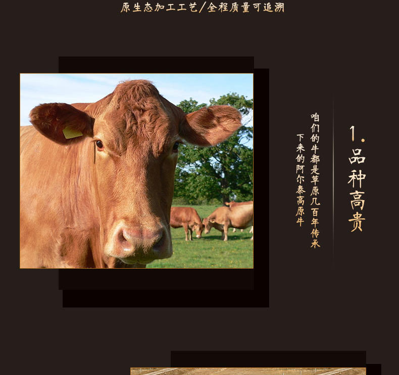  阿吾勒 清真食品 牛肉粒条 香辣味50g*3