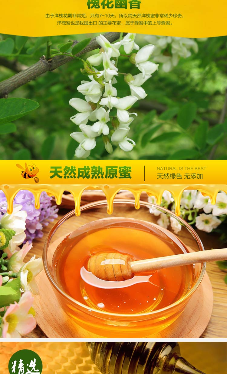 武食 洋槐花蜂蜜  绿色蜂蜜  天然成熟原蜂 天然洋槐蜂蜜950g