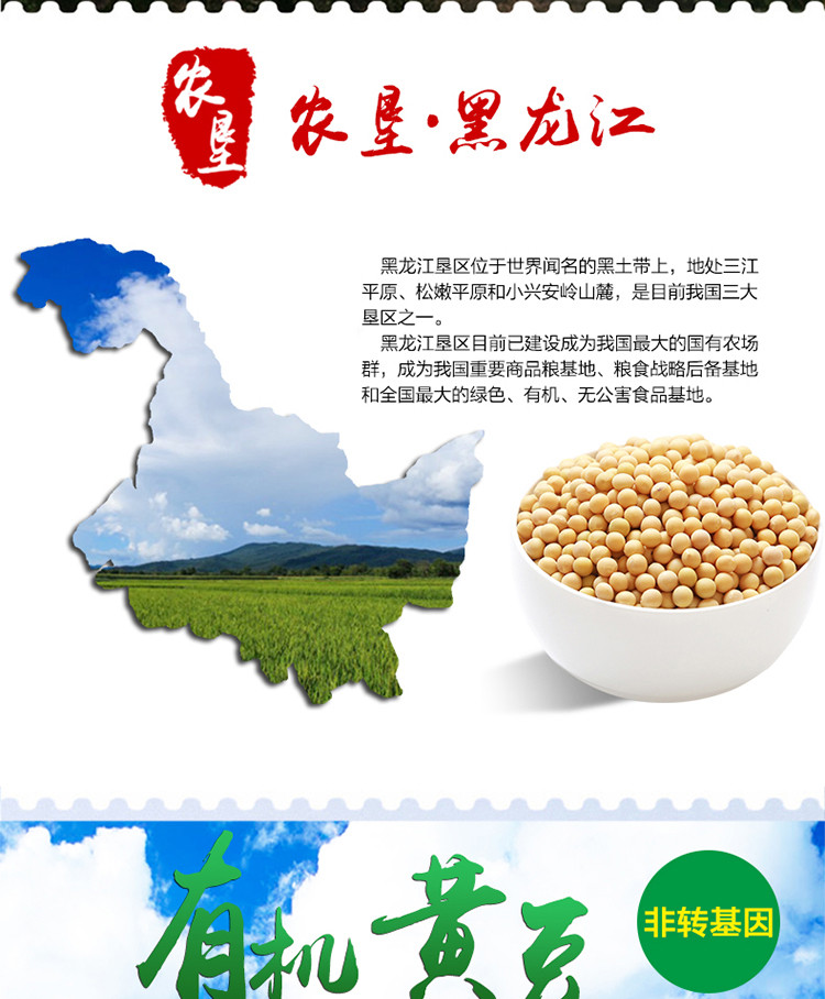 【农垦 黑龙江】豆都  非转基因黄豆 有机黄豆 质量可追溯 天然有机黄豆 400g/2袋