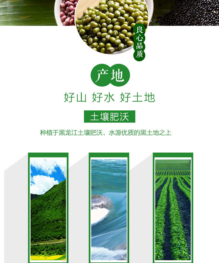 【农垦 黑龙江】豆都  有机绿豆有机食品 质量可追溯 天然绿豆 400g/袋