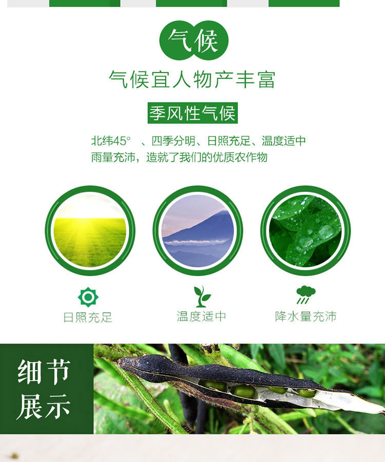 【农垦 黑龙江】豆都  有机绿豆有机食品 质量可追溯 天然绿豆 400g/袋