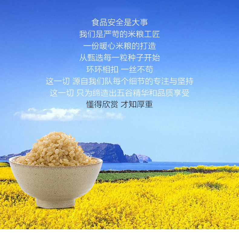 世一稻  产自黑土地 粗粮 胚芽米 1kg