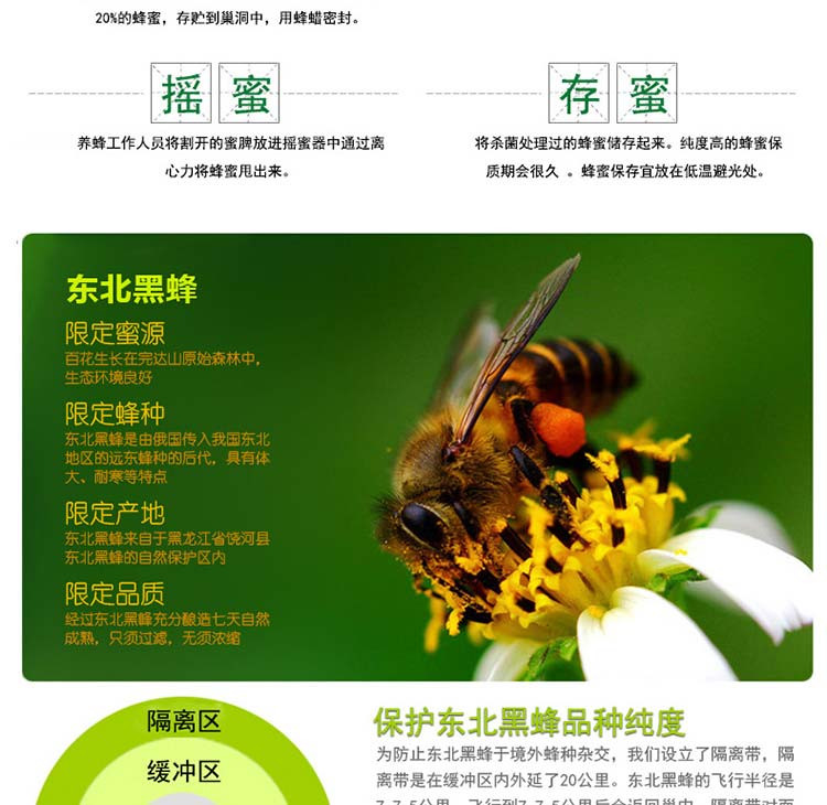 【农垦 黑龙江】北大荒  东北黑蜂  蜂蜜农家纯蜂蜜 椴树蜜430g