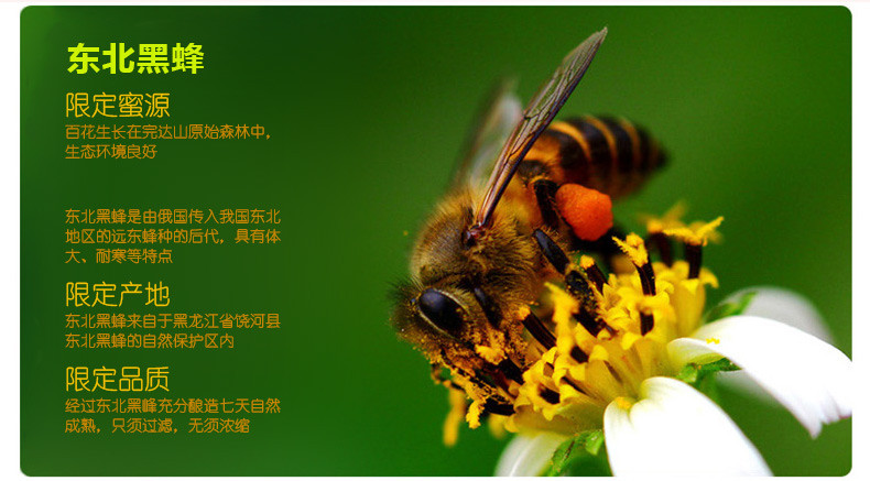 【农垦 黑龙江】北大荒 东北黑蜂山花蜜 蜂蜜农家百花蜜 山花蜜1kg/瓶