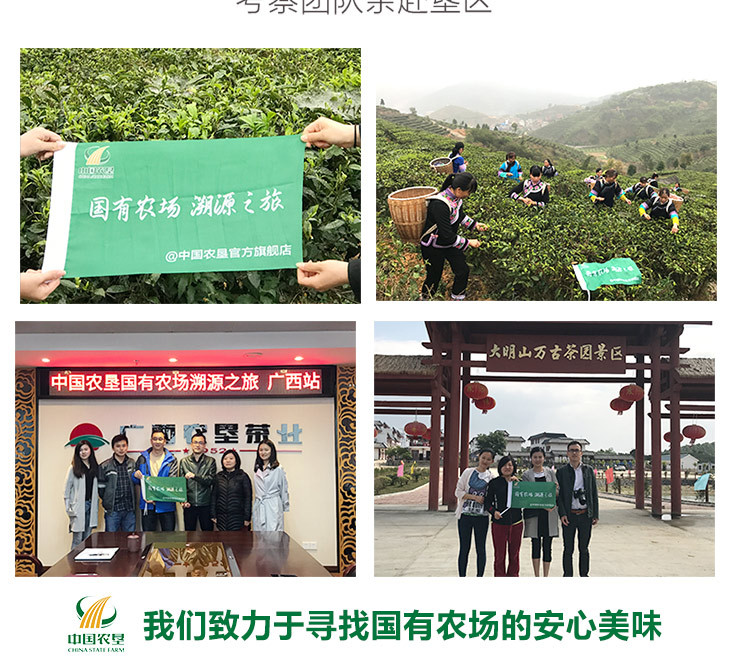 【农垦广西】 农垦茶叶 可溯源 大明山茶叶 清香特级 罐装红茶金萱工夫红100g