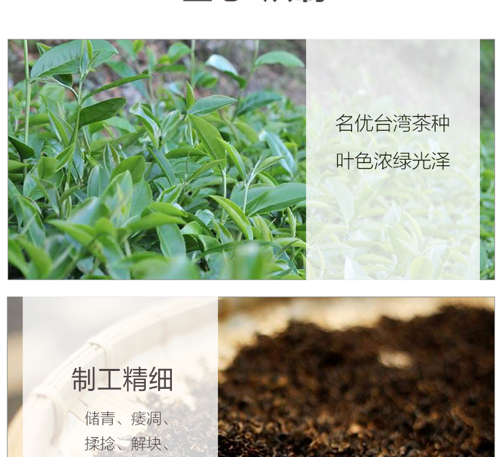 【农垦广西】 农垦茶叶 可溯源 大明山茶叶 清香特级 罐装红茶金萱工夫红100g