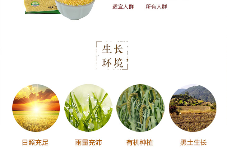 【农垦 黑龙江】豆都  农垦质量可追溯 东北小米 食用米粥 有机小米 400g/袋*2