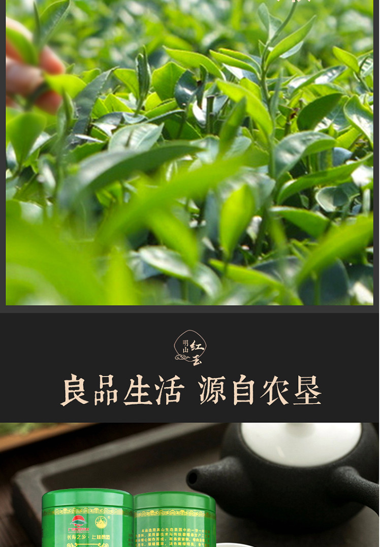 【中国农垦】2020年新茶 大明山  碧螺春特级有机绿茶 农垦茶叶  质量可追溯  绿茶100g/罐