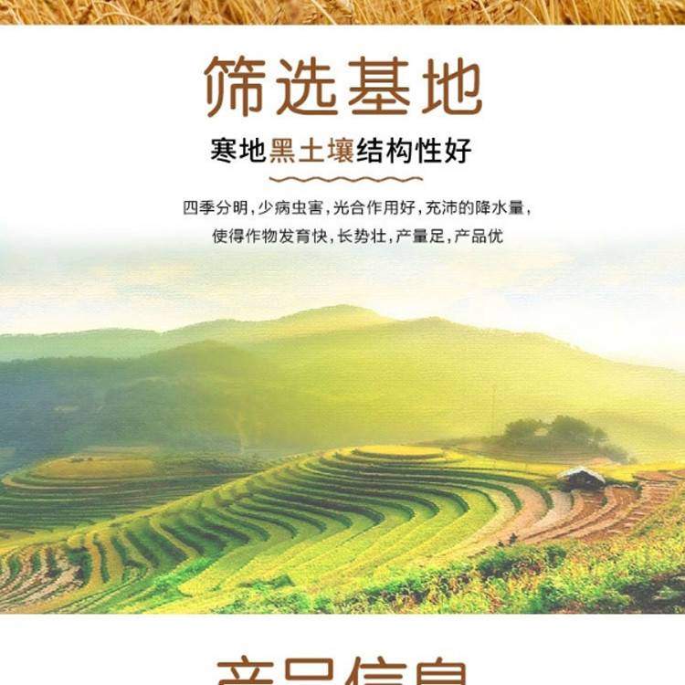  【中国农垦】亲民食品 可溯源面粉 无化肥、农药 亲民有机饺子粉1.5kg